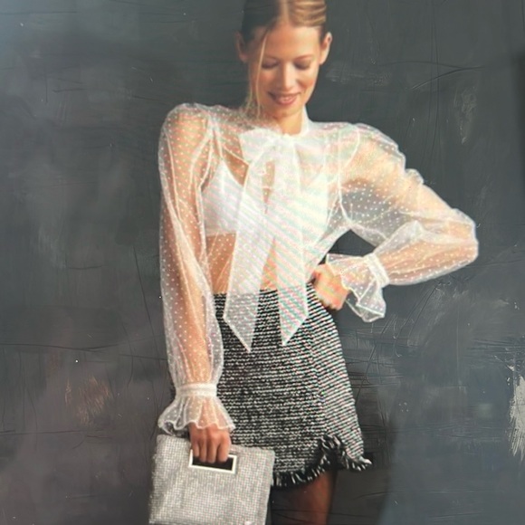 NWT Anthropologie Dolan Sheer Top, size 3x - Picture 3 of 11